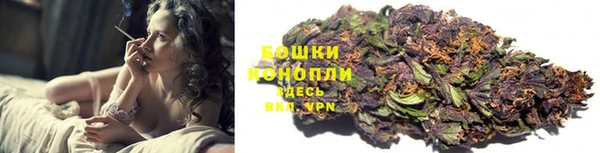 стафф Михайловск