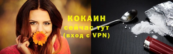 стафф Михайловск