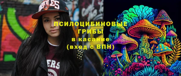 стафф Михайловск