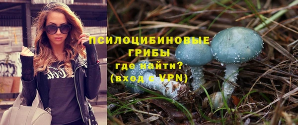 МДПВ Михайловка
