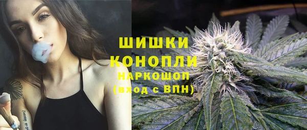 стафф Михайловск