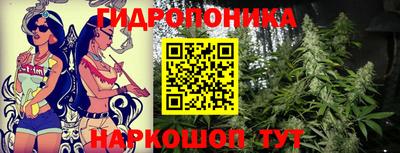 герыч Можга