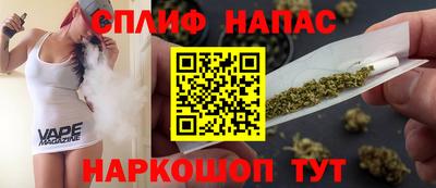 шишки Новодвинск