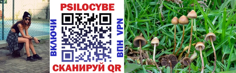Галлюциногенные грибы Psilocybine cubensis  mega tor  Фурманов 